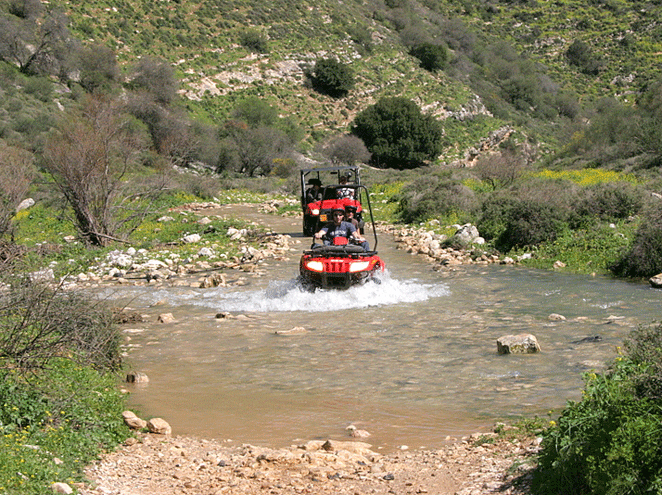 טרקטורוני דישון